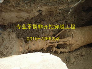 天津过道顶管施工在环保工程中的应用与优势